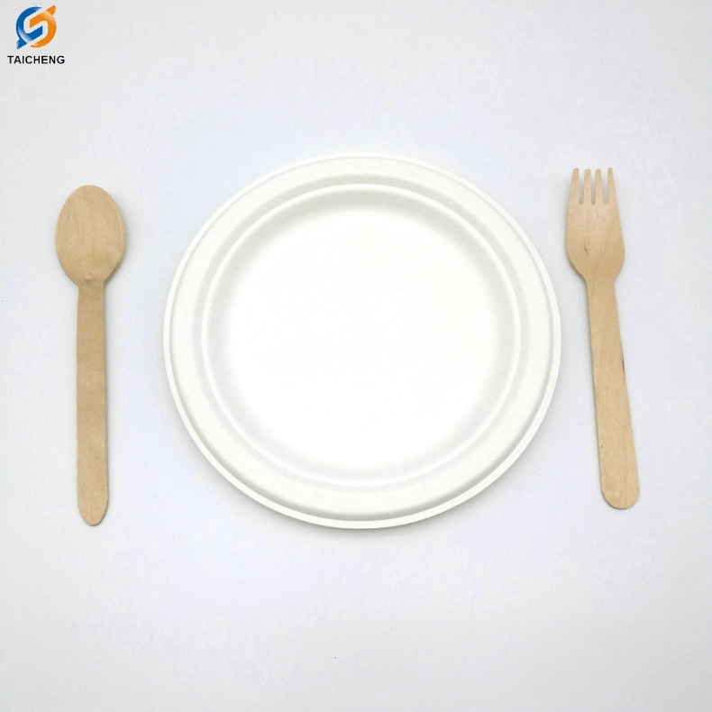 100% Environment-Friendly Biodegradable Plate Sugarcane Bagasse